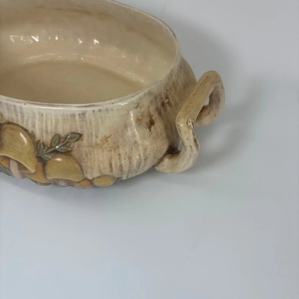 Vtg 1970s Arnel's Mushroom‎ Soup Tureen/ Dish Retro Cottagecore MCM Decor
